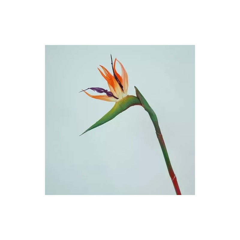 Flor De Ave Del Paraíso Artificial Flor De Pajaro Ave