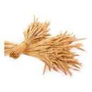 Pack 6 Ramos De Flores Secas De Trigo Cañas De Pampas Varas Beige
