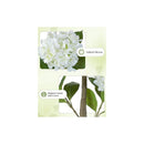 Planta Hortensia Decorativa Artificial Hogar Oficina 120cm Blanco