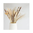 Ramo De Flores Secas Natural Mix Pampas Cola Conejo Limonium Beige