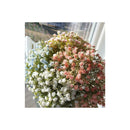 Ilusiones Gypsophila Baby Breath Artificiales Little Bunch