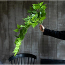 Planta Colgante Artificial Vara Frondosa 110cm Enredadera Verde
