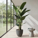Planta Artificial De Ave Del Paraíso 21 .0 Mt Palma De Viaj Verde
