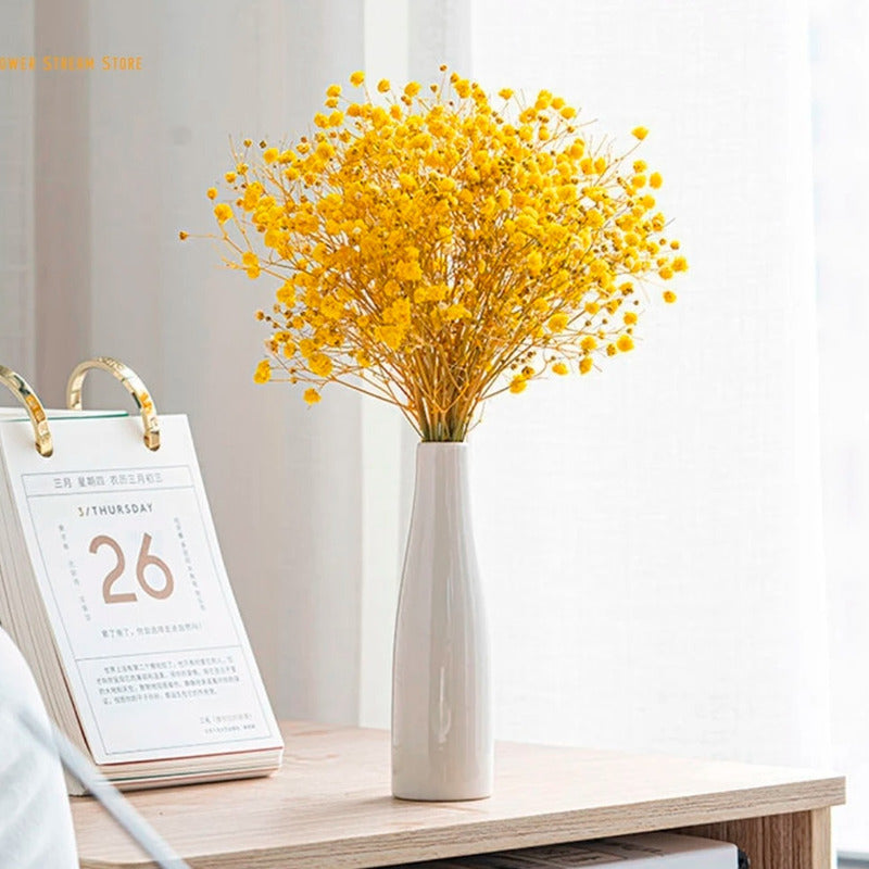 Flores Ramas Secas Naturales Decorativa, Gypsophila Frondosa