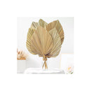 5 Piezas De Hojas De Palma Secas, Forma De Corazón Tropical Beige