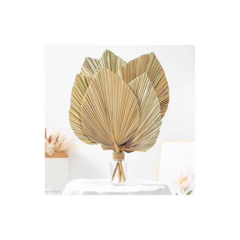 Hoja De Palma Seca, Forma De Corazón Tropical Natural
