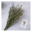 Flores Secas Ramo De Limonium Preservadas Reales Secas Grand