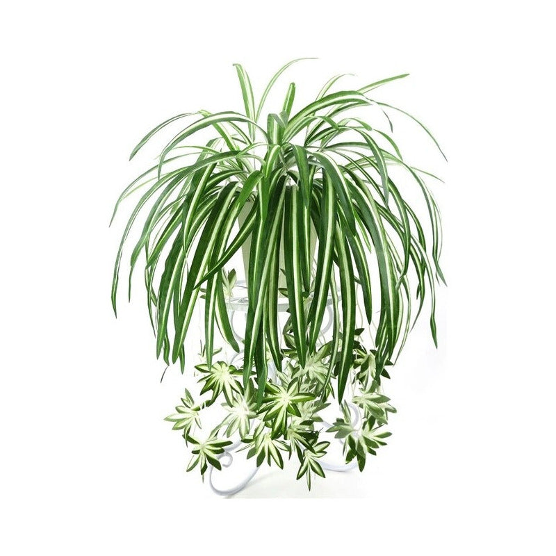 Cinta Colgante Flor Artificial Frondosa