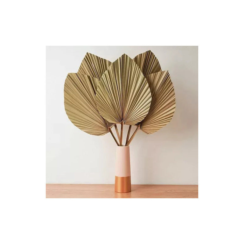 Hoja De Palma Seca, Forma De Corazón Tropical Natural