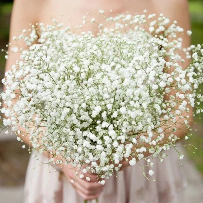 Flores Ilusiones Gypsophila Para Arreglos Artificiales