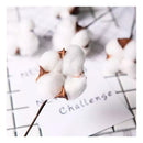 Pack 10 Tallos Algodón Seco Flores Decorativas Cotton Blanco Blanco