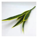 Flores Artificiales Sansevieria Lengua De Suegra Decoración Verde