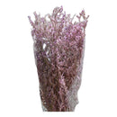 Flores Secas Ramo De Limonium Preservadas Reales Secas Grand