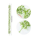 Enredaderas Ilusiones Gypsophila Paniculata 180mt Aliento Bb