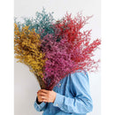 Flores Secas Ramo De Limonium Preservadas Reales Secas Grand