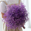 Flores Ramas Secas Naturales Decorativa, Gypsophila Frondosa