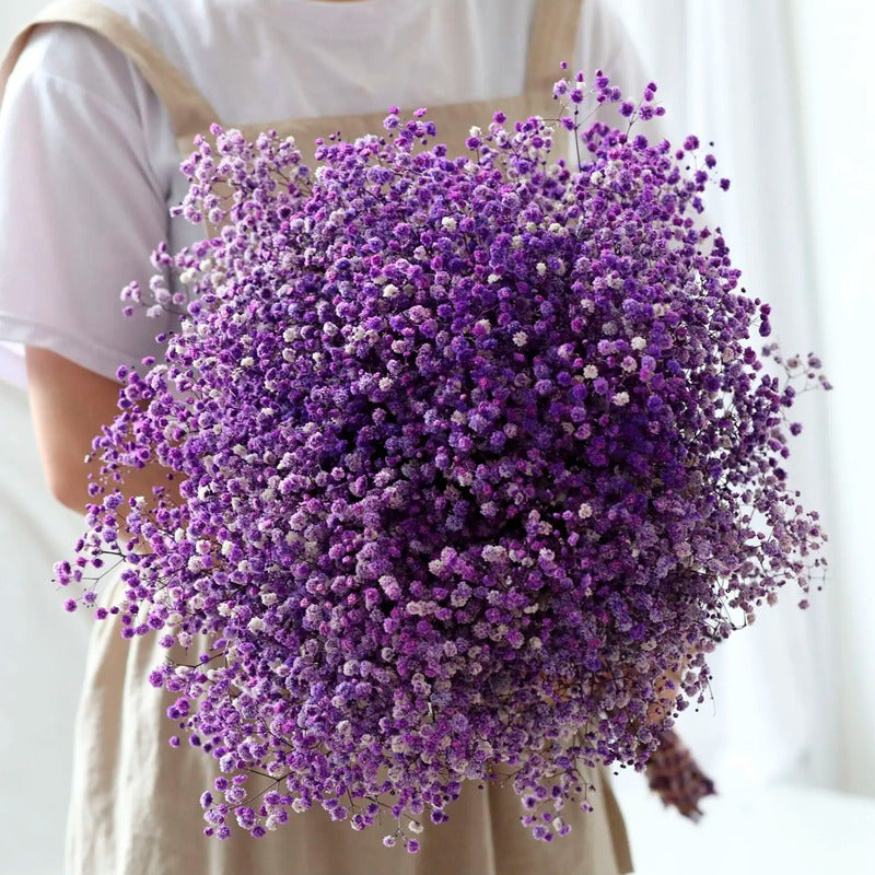 Flores Ramas Secas Naturales Decorativa, Gypsophila Frondosa