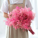 Flores Ramas Secas Naturales Decorativa, Gypsophila Frondosa