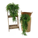 Pack 2 Helechos Fino Colgant Artificial Vara Frondosa Boston Color Verde