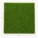Musgo Decorativo Natural 1x1m Panel Vegetal Para Jardines Verticales Muros Verdes Decoración Interior Cuadros Vegetales Paisajismo Hogar Oficina Fácil Instalación Bajo Mantenimiento