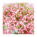 Flores Gypsophila  Para Arreglos Artificiales Flor Para Deco