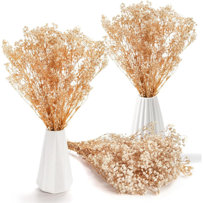 Flores Ramas Secas Natural Decorativa, Gypsophila Frondosa