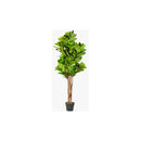 Ficus Planta Artificial Flor Arbusto De Interior Arbol 150m Verde Oscuro