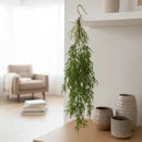 Planta Colgante Artificiales Silvestre Kaong Fruta De Palma Verde
