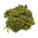 Musgo Artificial Para Manualidades Eco & Deco  100g De Decoración Versátil