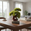 Árbol Bonsai, Planta En Maceta, Centro De Mesa Decoracion Verde