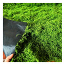 Musgo Artificial De Plantas Verde Musgo Sintético 1mt X 1mt