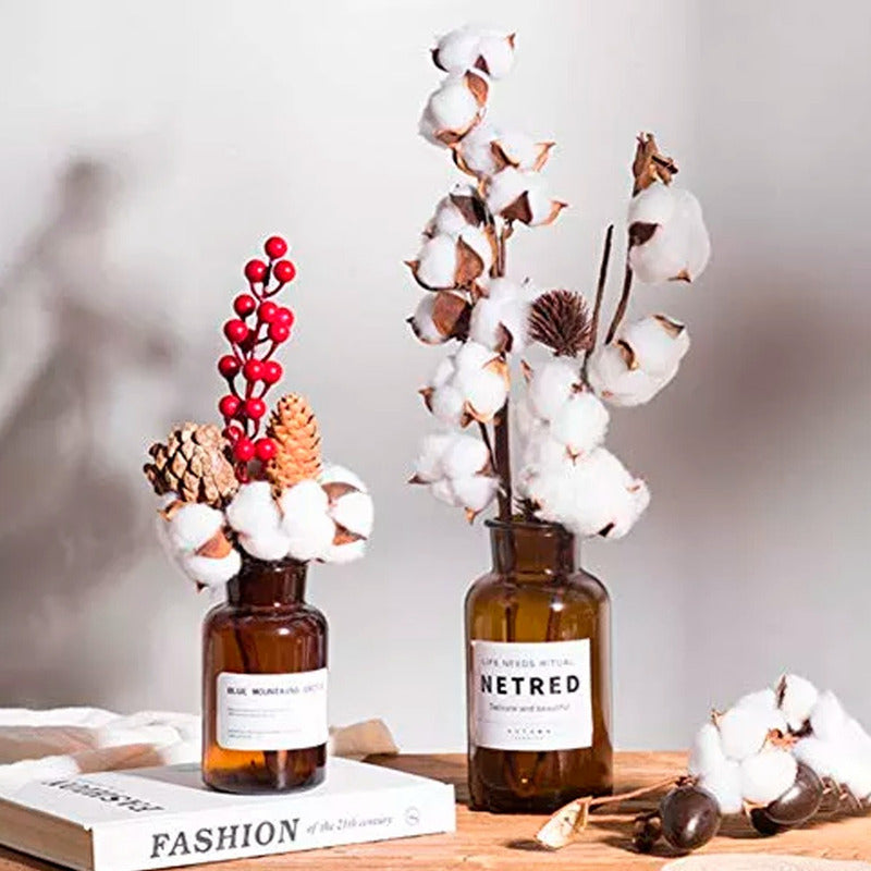 Pack 3 Tallos Algodón Seco Flores Decorativas Cotton Blanco