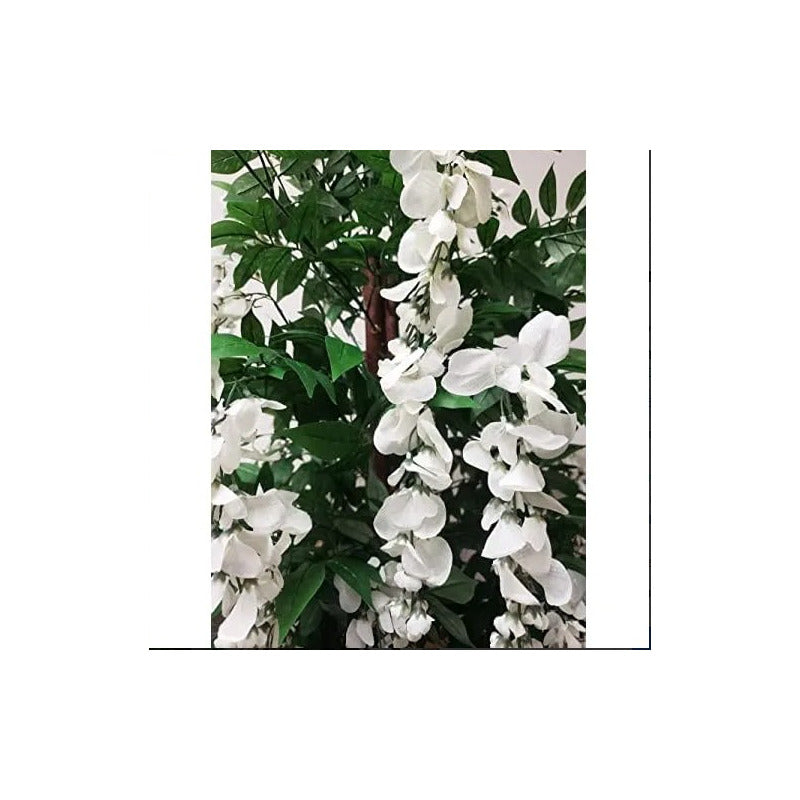 Arbusto Realista Arbol Cerezo Japonés Wisteria Glicinia