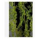 Planta Colgante Artificiales Silvestre Kaong Fruta De Palma Verde