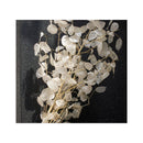 Lunaria Flores Secas Naturales Lunaria Flores Interior Blanco