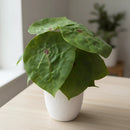 Pack 3 Ramas Surtidas Artificial Decoración Plantas Begonia Surtidas