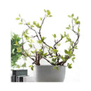 Rama De Árbol Doblada Artificial Tacto Real, Hojas Follajes Verde