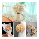 Flores Ramas Secas Naturales Decorativa, Gypsophila Frondosa