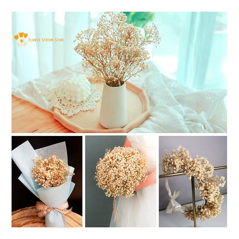 Flores Ramas Secas Naturales Decorativa, Gypsophila Frondosa