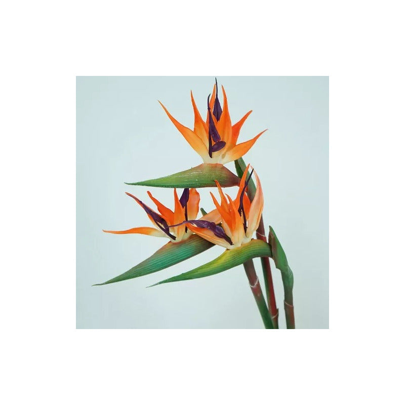 Flor De Ave Del Paraíso Artificial Flor De Pajaro Ave