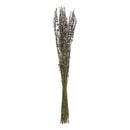 50 Piezas Ramo De Flores Secas Natural De Lavanda Con Aroma Violeta