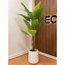 Artificial Banano Árbol Planta Arbusto 21 .0 C M Aspcto Real Verde