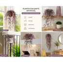 Eco & Deco Hiedra Violeta