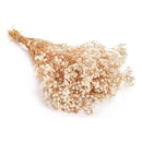 Flores Ramas Secas Natural Decorativa, Gypsophila Frondosa