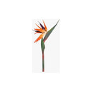 Flor De Ave Del Paraíso Artificial Flor De Pajaro Ave  Naranja