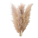 Pack 3 De Pampas Grass Vara Ramas Grande Decoración Beige