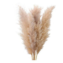 5 Piezas Rama De Pampas Grass Vara Grande Decoracion  Pack 5 Beige