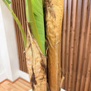 Artificial Banano Árbol Planta Arbusto 21 .0 C M Aspcto Real Verde