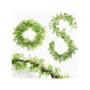 Enredaderas Ilusiones Gypsophila Paniculata 180mt Aliento Bb