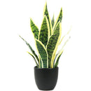 Flores Artificiales Sansevieria Lengua De Suegra Decoración  Verde